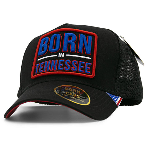 BORN IN TENNESSEE